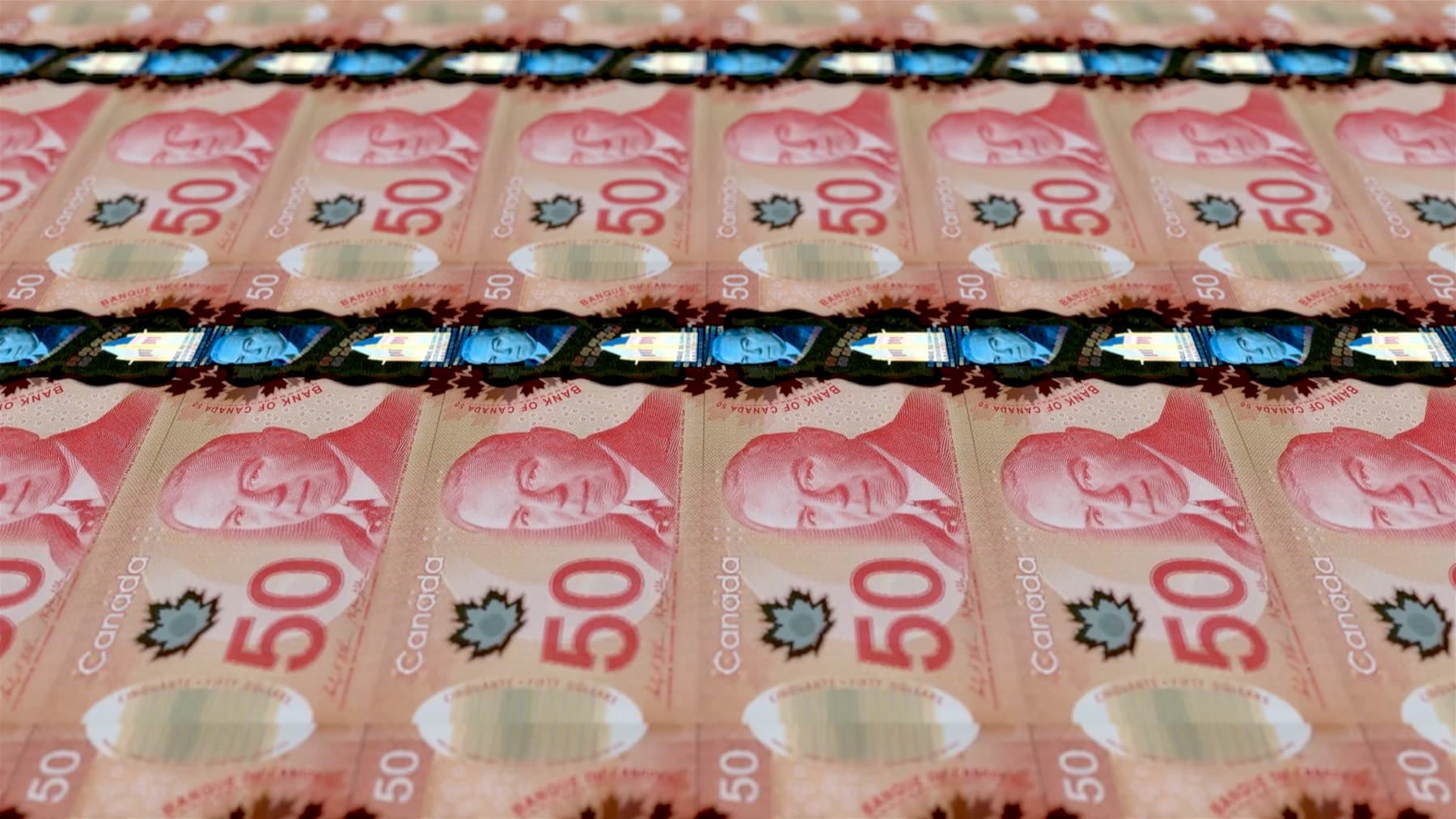 Rows of Canadian fifty-dollar banknotes